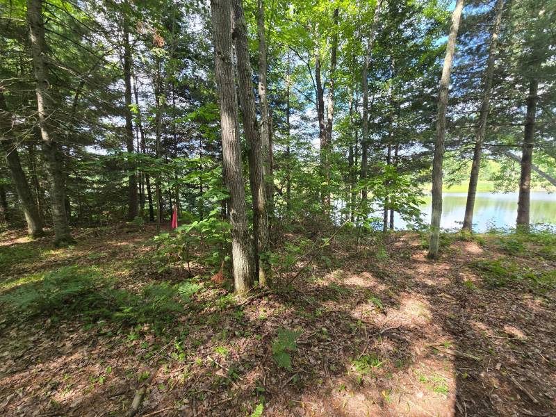 4 Misty River Ln, , Crescent,  WI 54501 United States