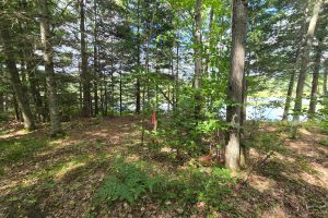 4 Misty River Ln, , Crescent,  WI 54501 United States