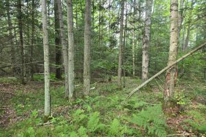 4 Misty River Ln, , Crescent,  WI 54501 United States