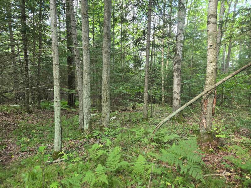 4 Misty River Ln, , Crescent,  WI 54501 United States