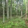 4 Misty River Ln, , Crescent,  WI 54501 United States