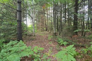 4 Misty River Ln, , Crescent,  WI 54501 United States