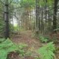 4 Misty River Ln, , Crescent,  WI 54501 United States