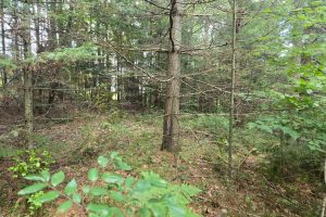 4 Misty River Ln, , Crescent,  WI 54501 United States