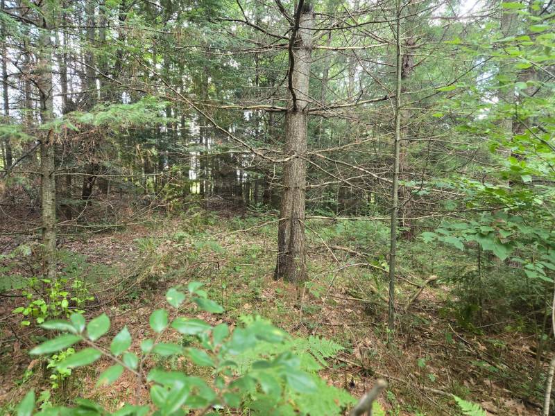 4 Misty River Ln, , Crescent,  WI 54501 United States