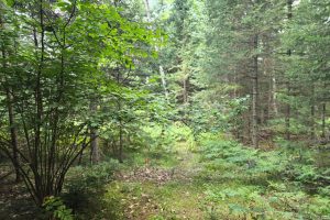 4 Misty River Ln, , Crescent,  WI 54501 United States