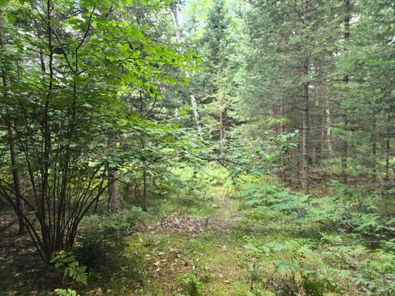 4 Misty River Ln, , Crescent,  WI 54501 United States