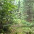 4 Misty River Ln, , Crescent,  WI 54501 United States