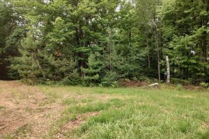 4 Misty River Ln, , Crescent,  WI 54501 United States