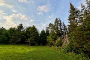 N10438 Jones Rd, , Tomahawk,  WI 54487 United States