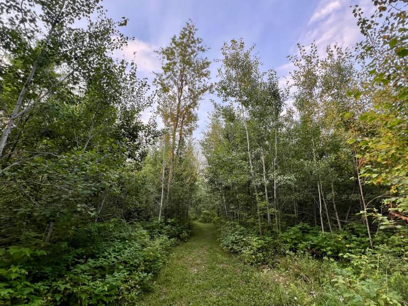 N10438 Jones Rd, , Tomahawk,  WI 54487 United States