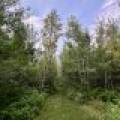 N10438 Jones Rd, , Tomahawk,  WI 54487 United States