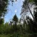 N10438 Jones Rd, , Tomahawk,  WI 54487 United States