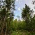 N10438 Jones Rd, , Tomahawk,  WI 54487 United States