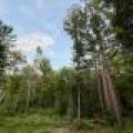 N10438 Jones Rd, , Tomahawk,  WI 54487 United States