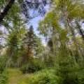 N10438 Jones Rd, , Tomahawk,  WI 54487 United States