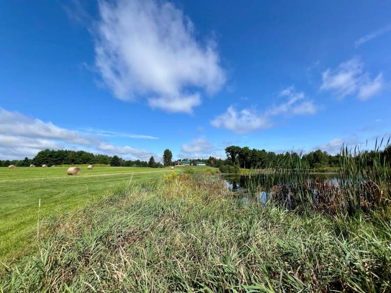 N1780 Hilmar Olson Rd, , Spirit,  WI 54459 United States