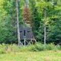 N1780 Hilmar Olson Rd, , Spirit,  WI 54459 United States