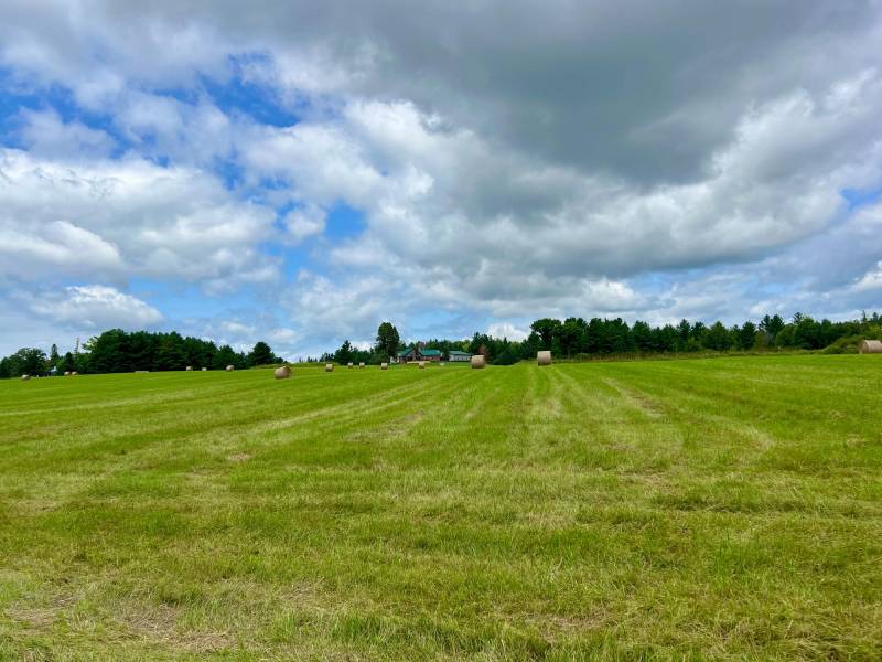 N1780 Hilmar Olson Rd, , Spirit,  WI 54459 United States