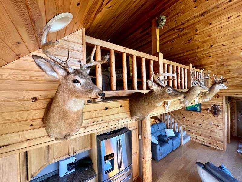 N1780 Hilmar Olson Rd, , Spirit,  WI 54459 United States