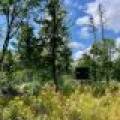 N1837 Hilmar Olson Rd, , Spirit,  WI 54459 United States