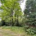 N3431 CTH Y, , Tripoli,  WI 54546 United States