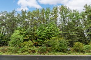 Loon Lake Rd, , Eagle River,  WI 54521 United States