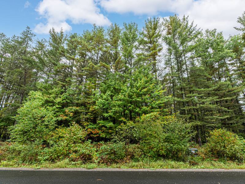 Loon Lake Rd, , Eagle River,  WI 54521 United States