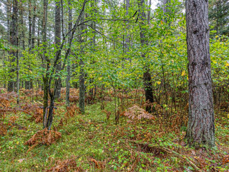 Loon Lake Rd, , Eagle River,  WI 54521 United States