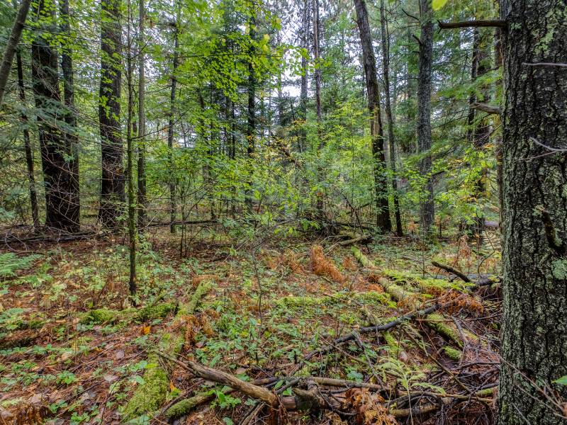 Loon Lake Rd, , Eagle River,  WI 54521 United States