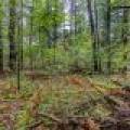 Loon Lake Rd, , Eagle River,  WI 54521 United States