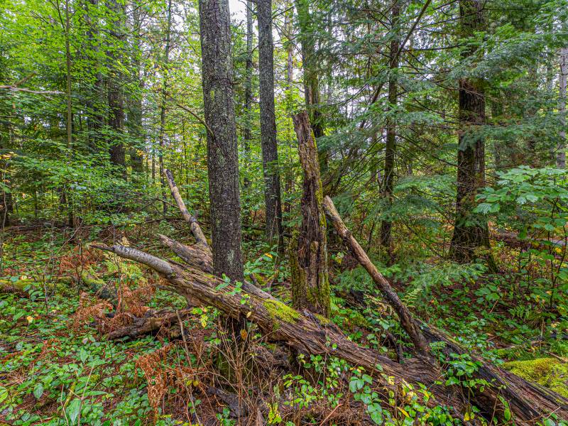 Loon Lake Rd, , Eagle River,  WI 54521 United States