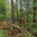 Loon Lake Rd, , Eagle River,  WI 54521 United States