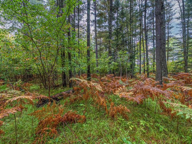 Loon Lake Rd, , Eagle River,  WI 54521 United States