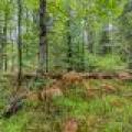 Loon Lake Rd, , Eagle River,  WI 54521 United States