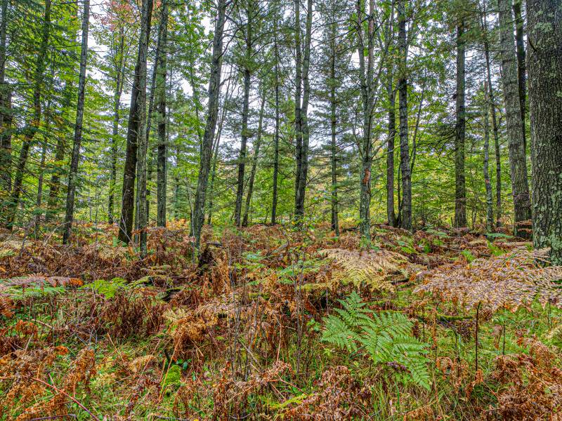 Loon Lake Rd, , Eagle River,  WI 54521 United States