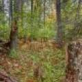 Loon Lake Rd, , Eagle River,  WI 54521 United States
