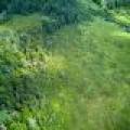 Off Rolling Acres Dr., , Sugar Camp,  WI 54501 United States