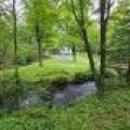 W2181 Gouda Rd, , Tomahawk,  WI 54487 United States