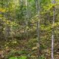 10a Off Turtle Lake Rd, , Winchester,  WI 54557 United States