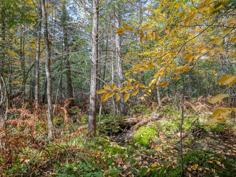 10a Off Turtle Lake Rd, , Winchester,  WI 54557 United States