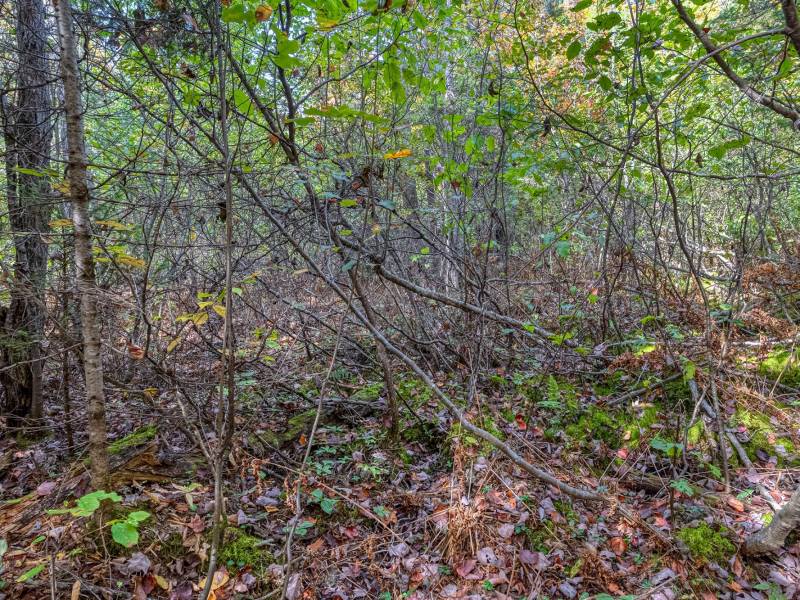 10a Off Turtle Lake Rd, , Winchester,  WI 54557 United States