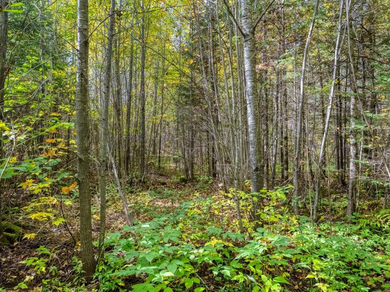 10a Off Turtle Lake Rd, , Winchester,  WI 54557 United States