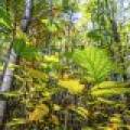 10a Off Turtle Lake Rd, , Winchester,  WI 54557 United States