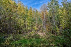 10a Off Turtle Lake Rd, , Winchester,  WI 54557 United States