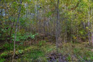 10a Off Turtle Lake Rd, , Winchester,  WI 54557 United States