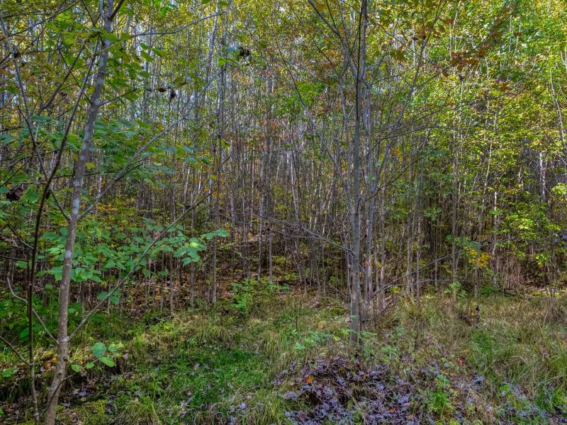 10a Off Turtle Lake Rd, , Winchester,  WI 54557 United States