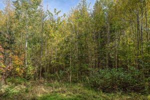 10a Off Turtle Lake Rd, , Winchester,  WI 54557 United States