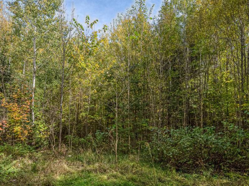 10a Off Turtle Lake Rd, , Winchester,  WI 54557 United States