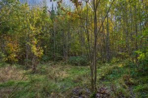 10a Off Turtle Lake Rd, , Winchester,  WI 54557 United States